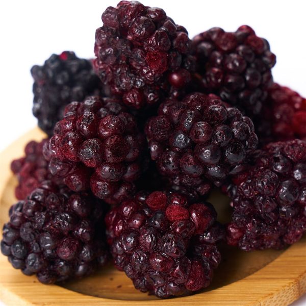freeze-dried-blackberry-set-ar